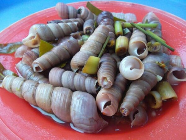 Đặc sản ốc mút Thanh Hóa 10 món ngon nổi tiếng nhất của Thanh Hóa