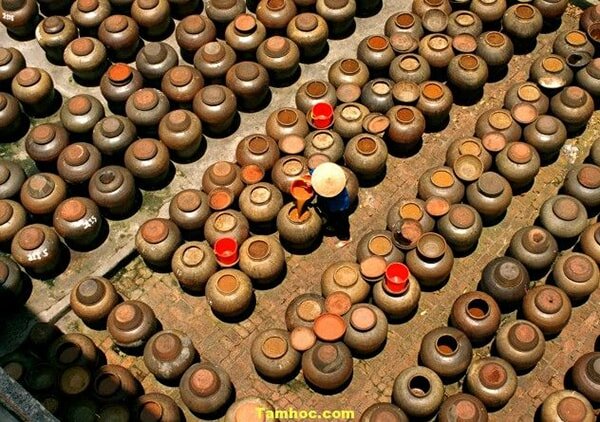 Các món đặc sản Nghệ An mua làm quà khi đi du lịch 1