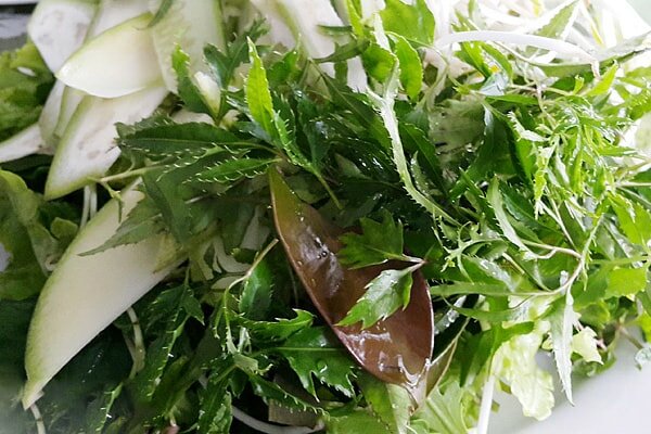 Gỏi cá Nam Ô Đà Nẵng - Món ngon không thể bỏ qua khi đến Đà Nẵng 3 Gỏi cá Nam Ô Đà Nẵng - Món ngon không thể bỏ qua khi đến Đà Nẵng 3