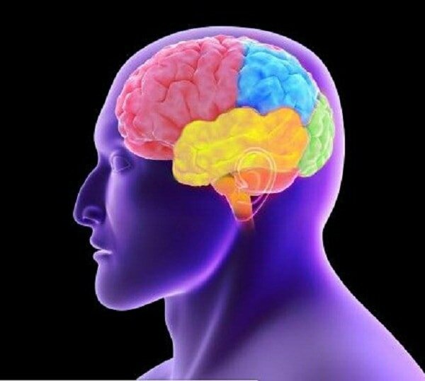 Bạn biết gì về bệnh sa sút trí tuệ trán - thái dương? 1 Bạn biết gì về bệnh sa sút trí tuệ trán - thái dương? 1