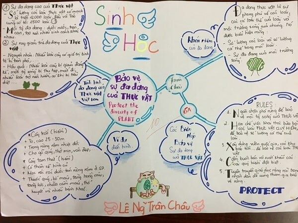 Phương pháp học tốt môn Sinh lớp 7 hiệu quả 1 Phương pháp học tốt môn Sinh lớp 7 hiệu quả 1