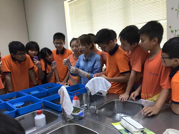 Phương pháp học tốt môn Sinh lớp 7 hiệu quả 3 Phương pháp học tốt môn Sinh lớp 7 hiệu quả 3