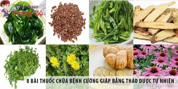 8 bài thuốc chữa bệnh cường giáp bằng thảo dược tự nhiên