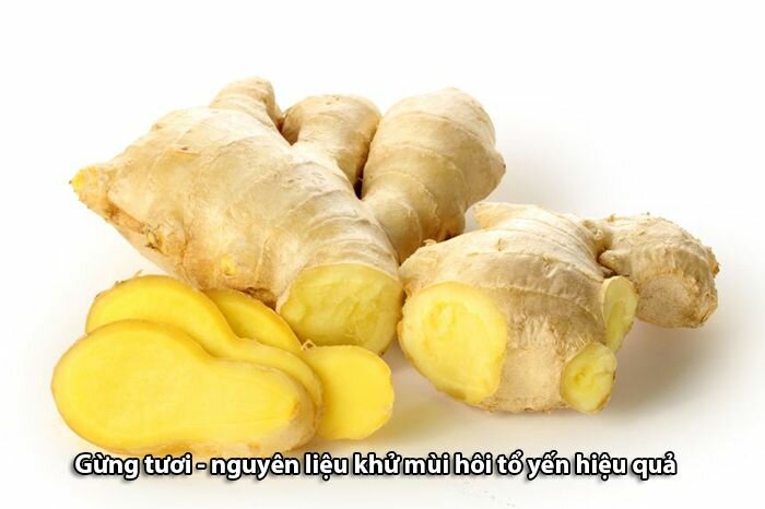 Dùng vài lát gừng tươi để khử mùi hôi của tổ yến Dùng vài lát gừng tươi để khử mùi hôi của tổ yến