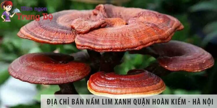 Địa chỉ bán nấm lim xanh quận Hoàn Kiếm - Hà Nội uy tín