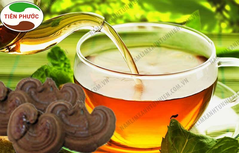 Địa chỉ bán nấm lim xanh quận Hoàn Kiếm - Hà Nội uy tín 2