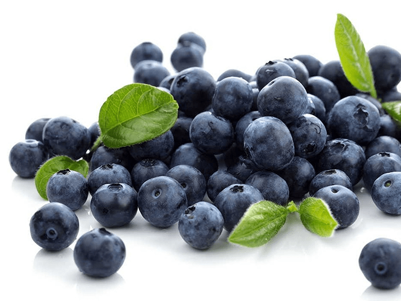 Quả Việt quất có mức độ chống oxy hóa cao nhất
