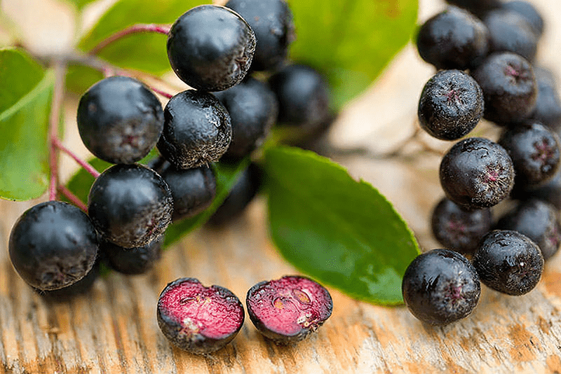 Trong anh đào có chất giúp kiểm soát huyết áp, giảm tác động tiêu cực của natri