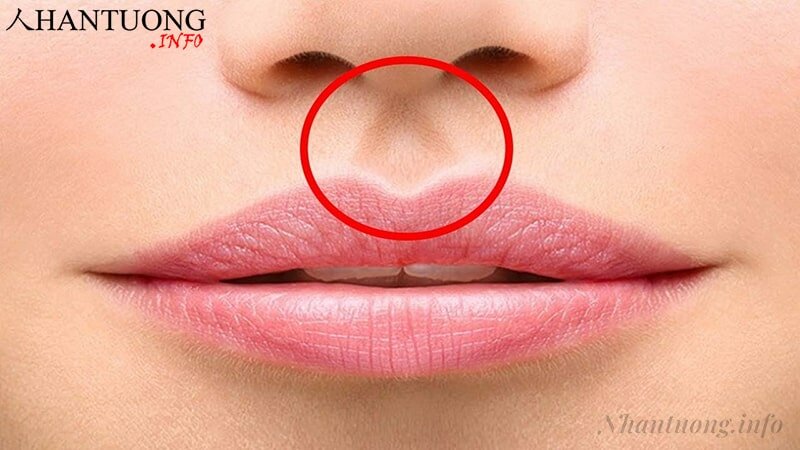 Vị trí của nhân trung Vị trí của nhân trung