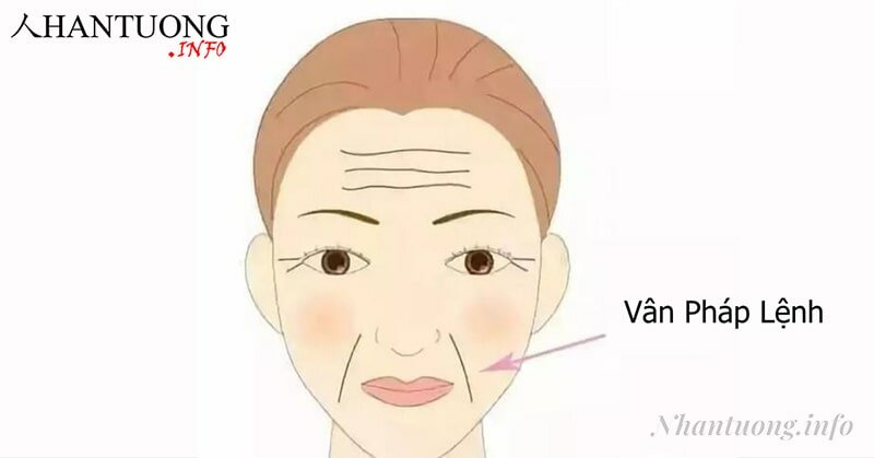 Vị trí pháp lệnh trên khuôn mặt Vị trí pháp lệnh trên khuôn mặt