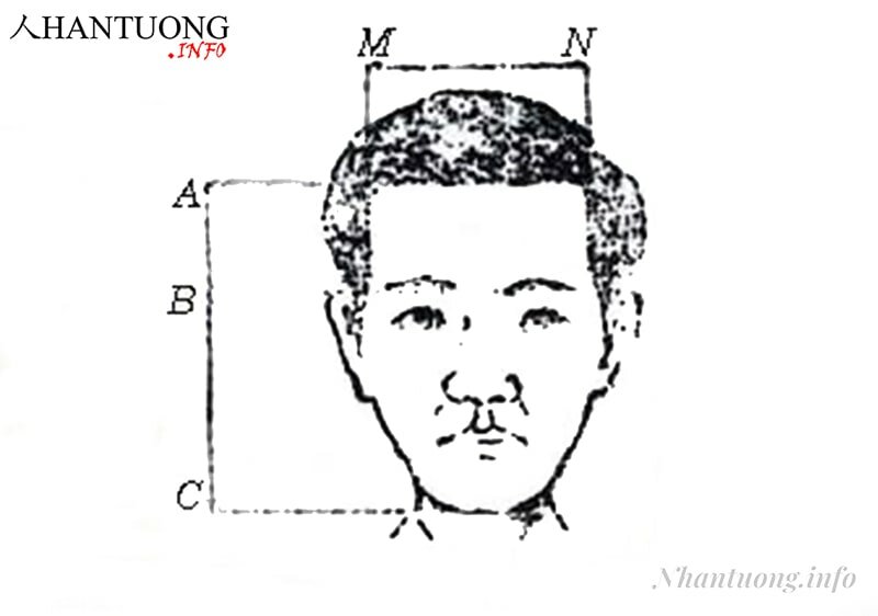 Cách xác định trán cao, rộng, hẹp Cách xác định trán cao, rộng, hẹp