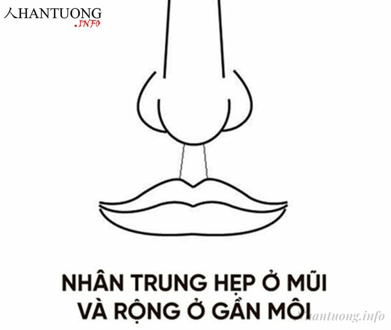 Nhân trung hẹp ở mũi và rộng ở gần môi