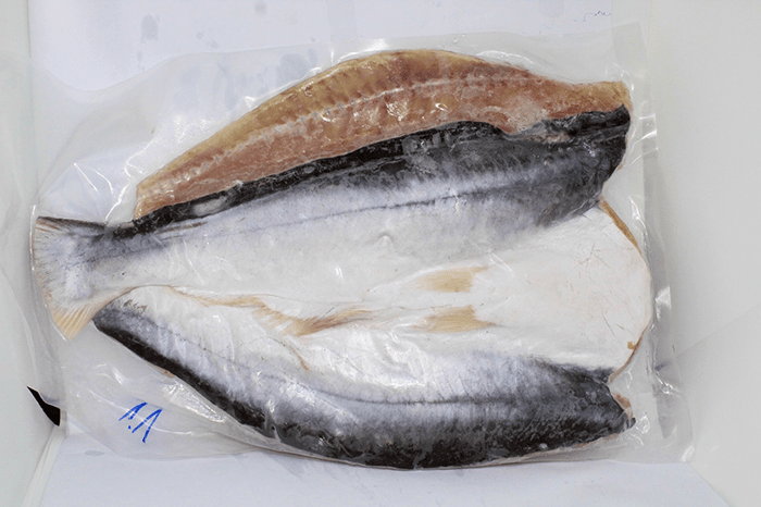 Cá dứa 1 nắng có đường chỉ đen trên lưng