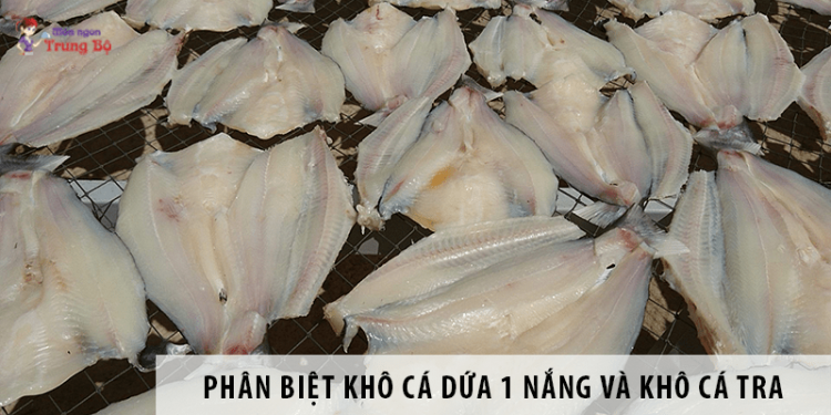 Phân biệt khô cá dứa 1 nắng và khô cá tra đơn giản nhất