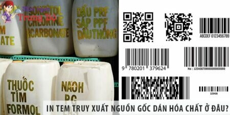 In tem truy xuất nguồn gốc dán hóa chất ở đâu?