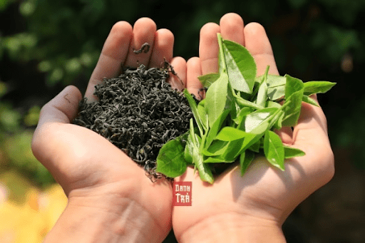 Thương hiệu Danh Trà