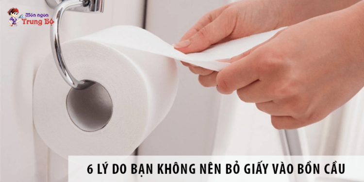 6 Lý do chính khiến bạn không nên bỏ giấy vào bồn cầu
