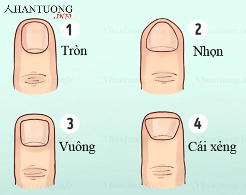 Đặc điểm tướng người có ý chí mạnh 3 Đặc điểm tướng người có ý chí mạnh