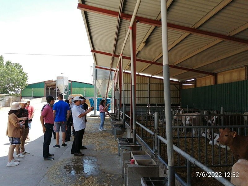 Đến Tây Ban Nha tìm nguồn gốc những miếng thịt bò đạt chuẩn châu Âu 2 Đến Tây Ban Nha tìm nguồn gốc những miếng thịt bò đạt chuẩn châu Âu