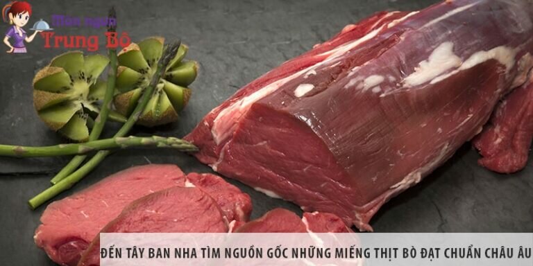 Đến Tây Ban Nha tìm nguồn gốc những miếng thịt bò đạt chuẩn châu Âu
