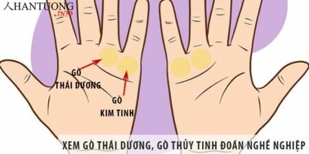 Xem gò thái dương và gò thủy tinh đoán nghề nghiệp