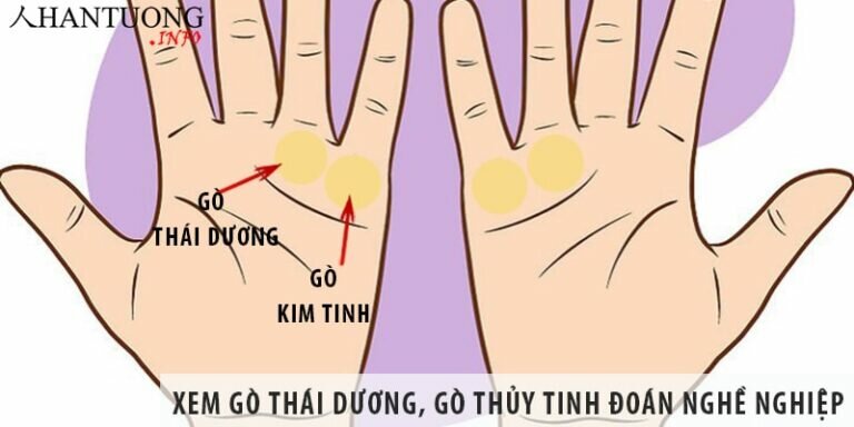 Xem gò thái dương và gò thủy tinh đoán nghề nghiệp